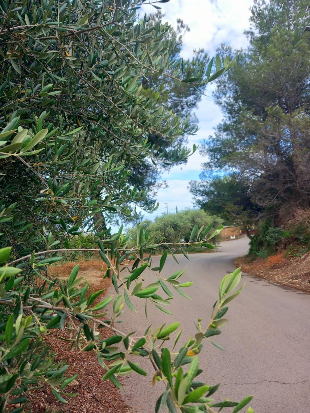ונטימיגליה Dolci Risvegli Appartamento Vista Mare מראה חיצוני תמונה